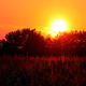 Image for article titled Shooting Challenge Sunset Gallery 2